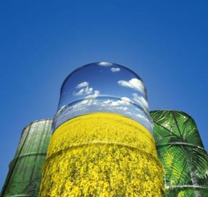 biofuel_barrels