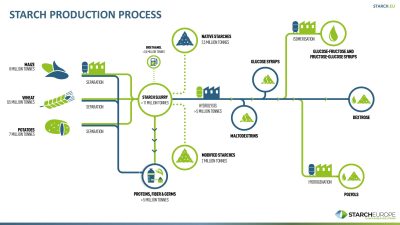 The European starch industry - Starch Europe